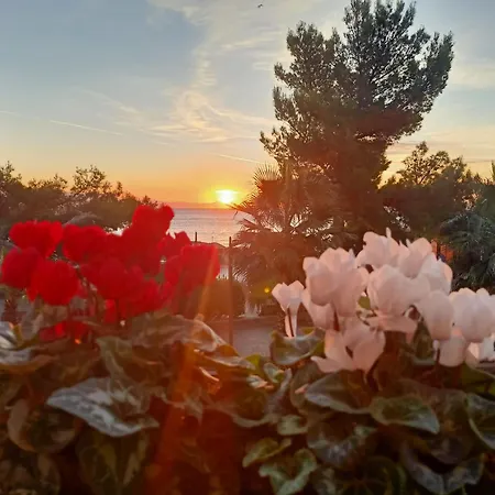 Serena Ξενοδοχείο